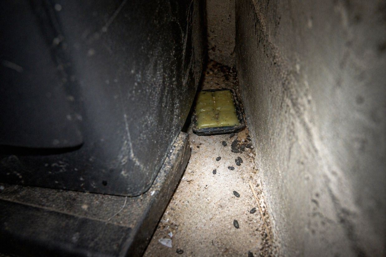 A bait station placed along a wall